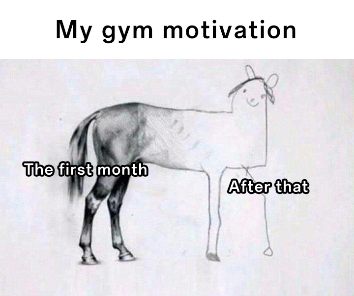 Unfinished horse drawing meme losing gym motivation after first month