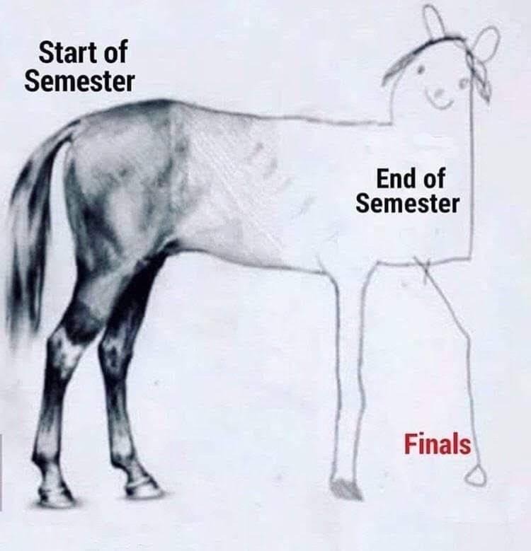Unfinished horse drawing meme half done for semester finals