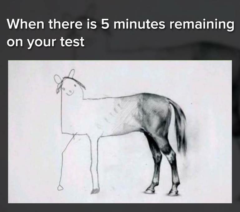 Unfinished horse drawing meme rushed when test has 5 mins left