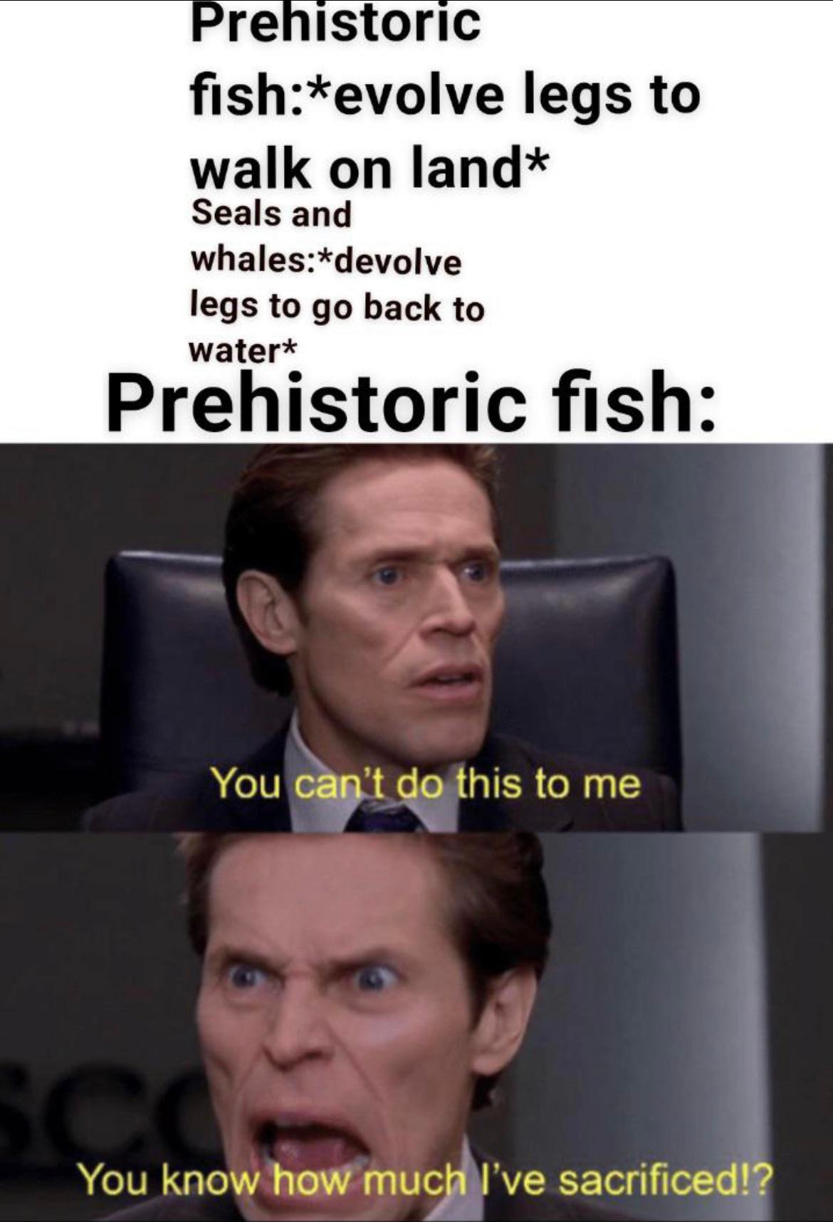 You can't do this to me meme fish mad at reverse evolution You can't do this to me meme fish mad at reverse evolution